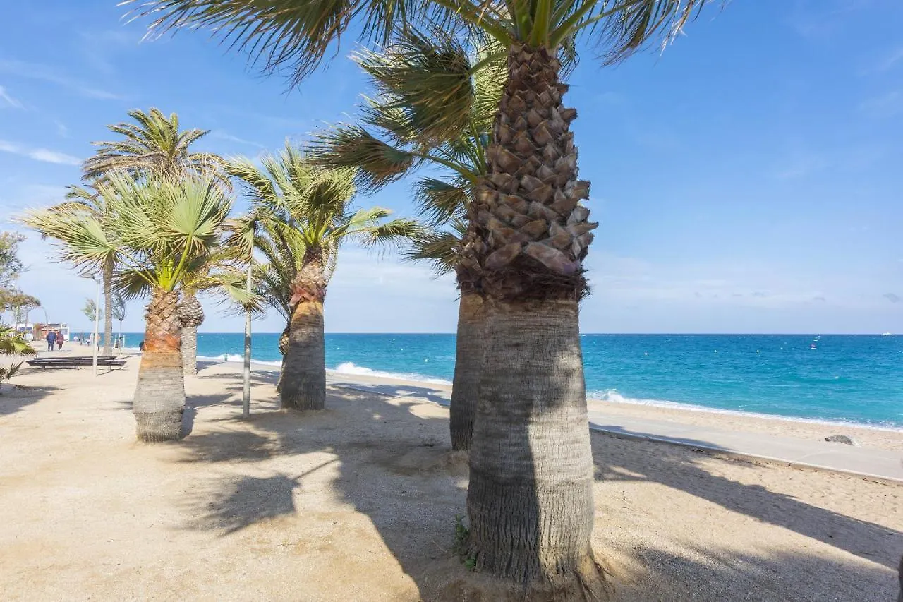 Homeholidaysrentals Caliz - Costa Barcelona Pineda de Mar 0*,